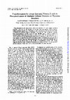 Research paper thumbnail of Transformation by avian sarcoma viruses leads to phosphorylation of multiple cellular proteins on tyrosine residues