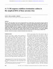 Research paper thumbnail of A 3' UTR sequence stabilizes termination codons in the unspliced RNA of Rous sarcoma virus