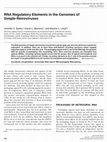 Research paper thumbnail of RNA Regulatory Elements in the Genomes of Simple Retroviruses