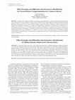 Research paper thumbnail of SDQ (Strengths and Difficulties Questionnaire): identificação de características comportamentais de crianças leitoras