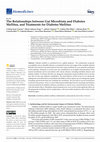 Research paper thumbnail of The Relationships between Gut Microbiota and Diabetes Mellitus, and Treatments for Diabetes Mellitus