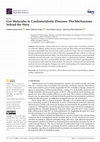 Research paper thumbnail of Gut Molecules in Cardiometabolic Diseases: The Mechanisms behind the Story