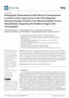 Research paper thumbnail of Stratigraphic Reassessment of the Mexican Chasmosaurine Coahuilaceratops magnacuerna as the First Diagnostic Dinosaur Remains from the Cerro Huerta Formation (Lower Maastrichtian) Supporting the Southern Origin of the Triceratopsini