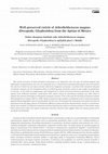 Research paper thumbnail of Well-preserved cuticle of Atherfieldastacus magnus (Decapoda, Glypheoidea) from the Aptian of Mexico Dobro ohranjena kutikula raka Atherfieldastacus magnus (Decapoda, Glypheoidea) iz aptijskih plasti v Mehiki