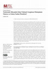 Research paper thumbnail of Terörizmle Mücadele Eden Vijilanti Grupların Dönüşümü: Nijerya ve Güney Sudan Örnekleri