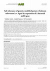 Research paper thumbnail of Salt Tolerance of Genetic Modified Potato (Solanum Tuberosum) CV. Agria by Expression of a Bacterial MtLD Gene