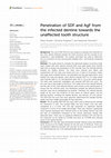 Research paper thumbnail of Penetration of SDF and AgF from the infected dentine towards the unaffected tooth structure