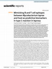 Research paper thumbnail of Mimicking B and T cell epitopes between Mycobacterium leprae and host as predictive biomarkers in type 1 reaction in leprosy