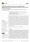 Research paper thumbnail of A GBS-Based GWAS Analysis of Leaf and Stripe Rust Resistance in Diverse Pre-Breeding Germplasm of Bread Wheat (Triticum aestivum L.)