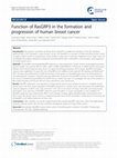 Research paper thumbnail of Function of RasGRP3 in the formation and progression of human breast cancer