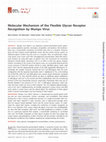 Research paper thumbnail of Molecular Mechanism of the Flexible Glycan Receptor Recognition by Mumps Virus