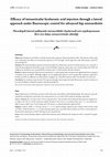 Research paper thumbnail of Efficacy of intraarticular hyaluronic acid injection through a lateral approach under fluoroscopic control for advanced hip osteoarthritis