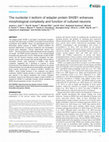 Research paper thumbnail of The nucleolar δ isoform of adapter protein SH2B1 enhances morphological complexity and function of cultured neurons