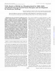 Research paper thumbnail of YXXL Motifs in SH2-Bॆ Are Phosphorylated by JAK2, JAK1, and Platelet-derived Growth Factor Receptor and Are Required for Membrane Ruffling