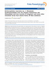 Research paper thumbnail of Echinocephalus inserratus sp. n. (Nematoda: Gnathostomatidae) from the stingray Pastinachus ater (Dasyatidae) and new records of congeneric and some other nematode larvae from teleost fishes off New Caledonia