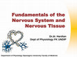 Research paper thumbnail of Nervous system physiology