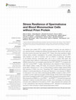 Research paper thumbnail of Stress Resilience of Spermatozoa and Blood Mononuclear Cells without Prion Protein