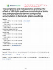 Research paper thumbnail of Transcriptome and mebabolomic profiling: the effect of LED light quality on morphological traits, and phenylpropanoid-derived compounds accumulation in Sarcandra glabra seedlings