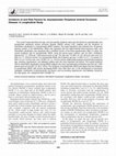 Research paper thumbnail of Incidence of and Risk Factors for Asymptomatic Peripheral Arterial Occlusive Disease: A Longitudinal Study