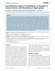 Research paper thumbnail of Autoantibodies against phospholipase A2 receptor in Brazilian patients with glomerular diseases