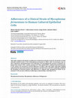 Research paper thumbnail of Adherence of a Clinical Strain of &lt;i&gt;Mycoplasma fermentans&lt;/i&gt; to Human Cultured Epithelial Cells