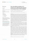 Research paper thumbnail of Gut microbiota variation of a tropical oil-collecting bee species far exceeds that of the honeybee