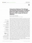 Research paper thumbnail of Interactions Between Fire Refugia and Climate-Environment Conditions Determine Mesic Subalpine Forest Recovery After Large and Severe Wildfires