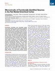 Research paper thumbnail of Recurrent pattern of picophytoplankton dynamics in estuaries around the world: The case of Río de la Plata