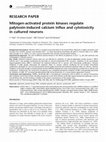 Research paper thumbnail of Mitogen‐activated protein kinases regulate palytoxin‐induced calcium influx and cytotoxicity in cultured neurons