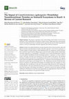 Research paper thumbnail of The Impact of Constrictotermes cyphergaster (Termitidae: Nasutitermitinae) Termites on Semiarid Ecosystems in Brazil: A Review of Current Research