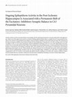 Research paper thumbnail of Ongoing Epileptiform Activity in the Post-Ischemic Hippocampus Is Associated with a Permanent Shift of the Excitatory–Inhibitory Synaptic Balance in CA3 Pyramidal Neurons