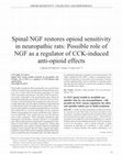 Research paper thumbnail of Spinal NGF Restores Opioid Sensitivity in Neuropathic Rats: Possible Role of NGF as a Regulator of CCK-Induced Anti-Opioid Effects