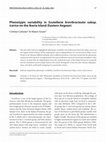 Research paper thumbnail of Phenotypic variability in Scutellaria brevibracteata subsp. icarica on the Ikaria Island (Eastern Aegean)