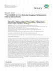 Research paper thumbnail of 111In-DANBIRT In Vivo Molecular Imaging of Inflammatory Cells in Atherosclerosis