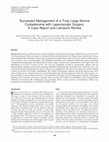 Research paper thumbnail of Successful Management of a Truly Large Serous Cystadenoma with Laparoscopic Surgery: A Case Report and Literature Review