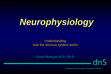 Research paper thumbnail of Neurophysiology somatosendory system