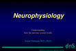 Research paper thumbnail of Neurophysiology of Motoric System