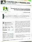 Research paper thumbnail of Fundamentos de la imprescriptibilidad del mejor derecho de propiedad