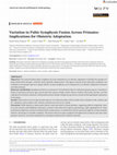 Research paper thumbnail of Variation in Pubic Symphysis Fusion Across Primates: Implications for Obstetric Adaptation