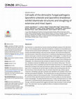 Research paper thumbnail of Cell walls of the dimorphic fungal pathogens Sporothrix schenckii and Sporothrix brasiliensis exhibit bilaminate structures and sloughing of extensive and intact layers