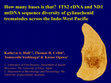 Research paper thumbnail of How many bases is that? ITS2 rDNA and ND1 mtDNA sequence diversity of gyliauchenid trematodes across the Indo-West Pacific