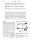 Research paper thumbnail of Spherical Supramolecular Minidendrimers Self-Organized in an “Inverse Micellar”-like Thermotropic Body-Centered Cubic Liquid Crystalline Phase