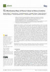 Research paper thumbnail of The (Bio)chemical Base of Flower Colour in Bidens ferulifolia