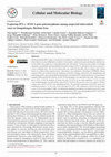 Research paper thumbnail of Exploring IFN-γ +874T/A gene polymorphisms among suspected tuberculosis
cases in Ouagadougou, Burkina Faso