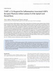 Research paper thumbnail of TARP γ-2 Is Required for Inflammation-Associated AMPA Receptor Plasticity within Lamina II of the Spinal Cord Dorsal Horn