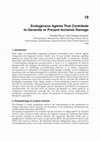 Research paper thumbnail of Endogenous Agents That Contribute to Generate or Prevent Ischemic Damage