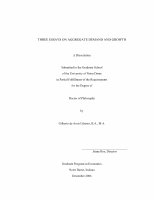 Research paper thumbnail of Three Essays on Aggregate Demand and Growth