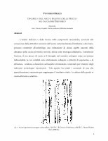 Research paper thumbnail of Brizzi V. 2005 (A). Meccanica dell’arco e Balistica della Freccia nel cacciatore primitivo.