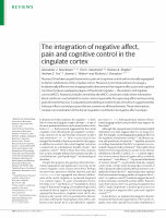 Research paper thumbnail of The integration of negative affect, pain and cognitive control in the cingulate cortex