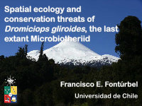 Research paper thumbnail of Spatial ecology and conservation threats of Dromiciops gliroides, the last extant Microbiotheriid